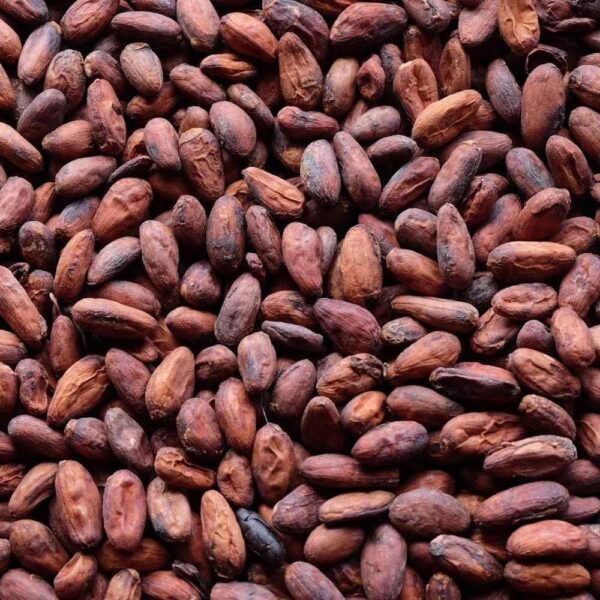 Cocoa beans