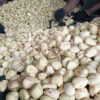 Kola nuts - Image 2