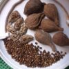 Alligator pepper - Image 4