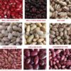 Kidney beans white, red and black - Image 3