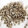 Moringa Seeds - Image 3
