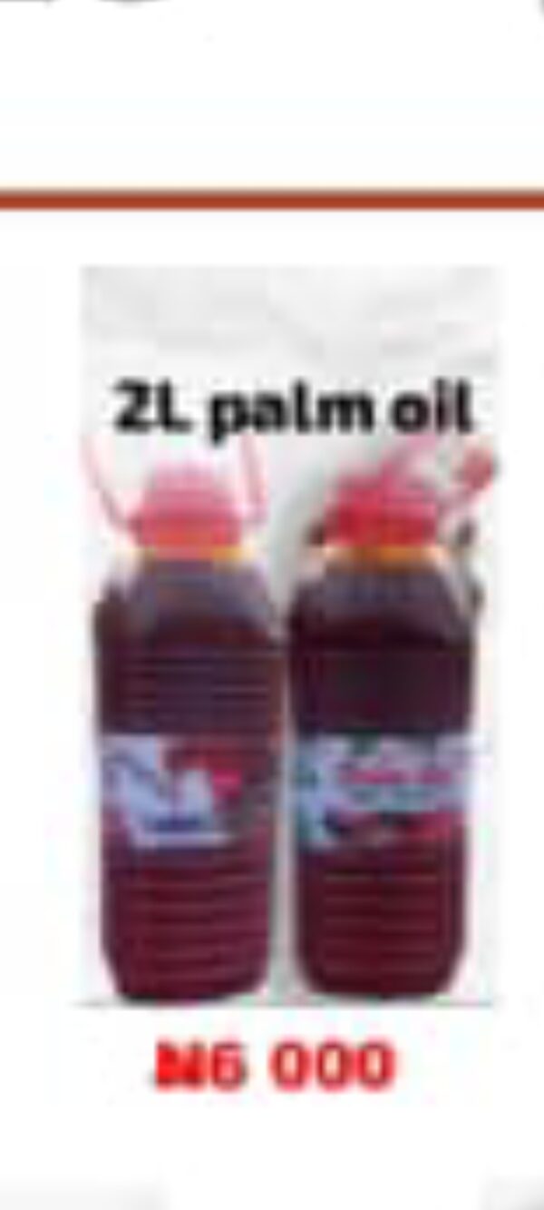 Taddith Palm oil 2Litres - Image 2