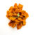Loose Dehydrated Mango Chips branded with the Laalfi Farms logo